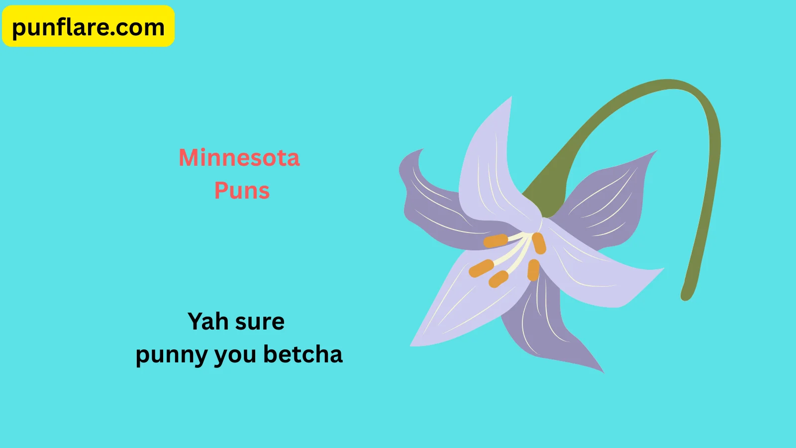 Minnesota Puns