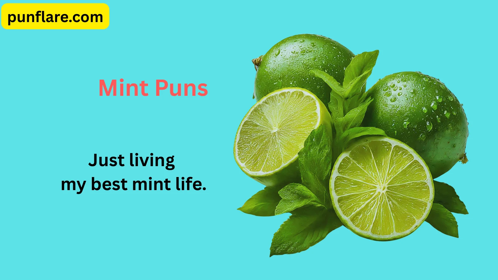 Mint Puns