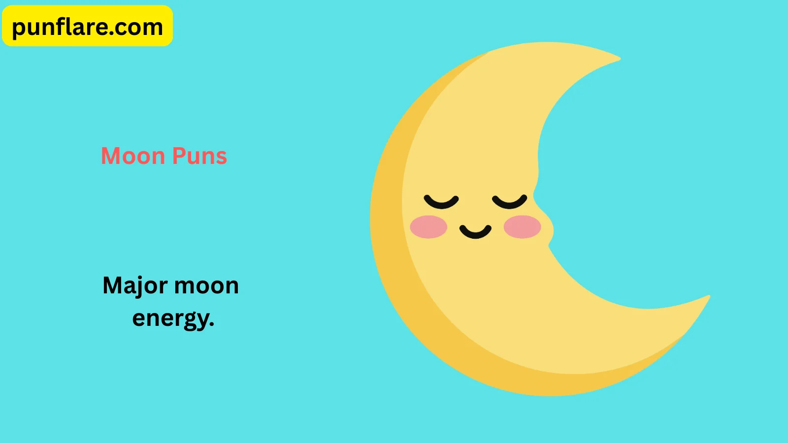Moon Puns