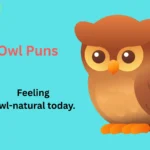 Owl Puns