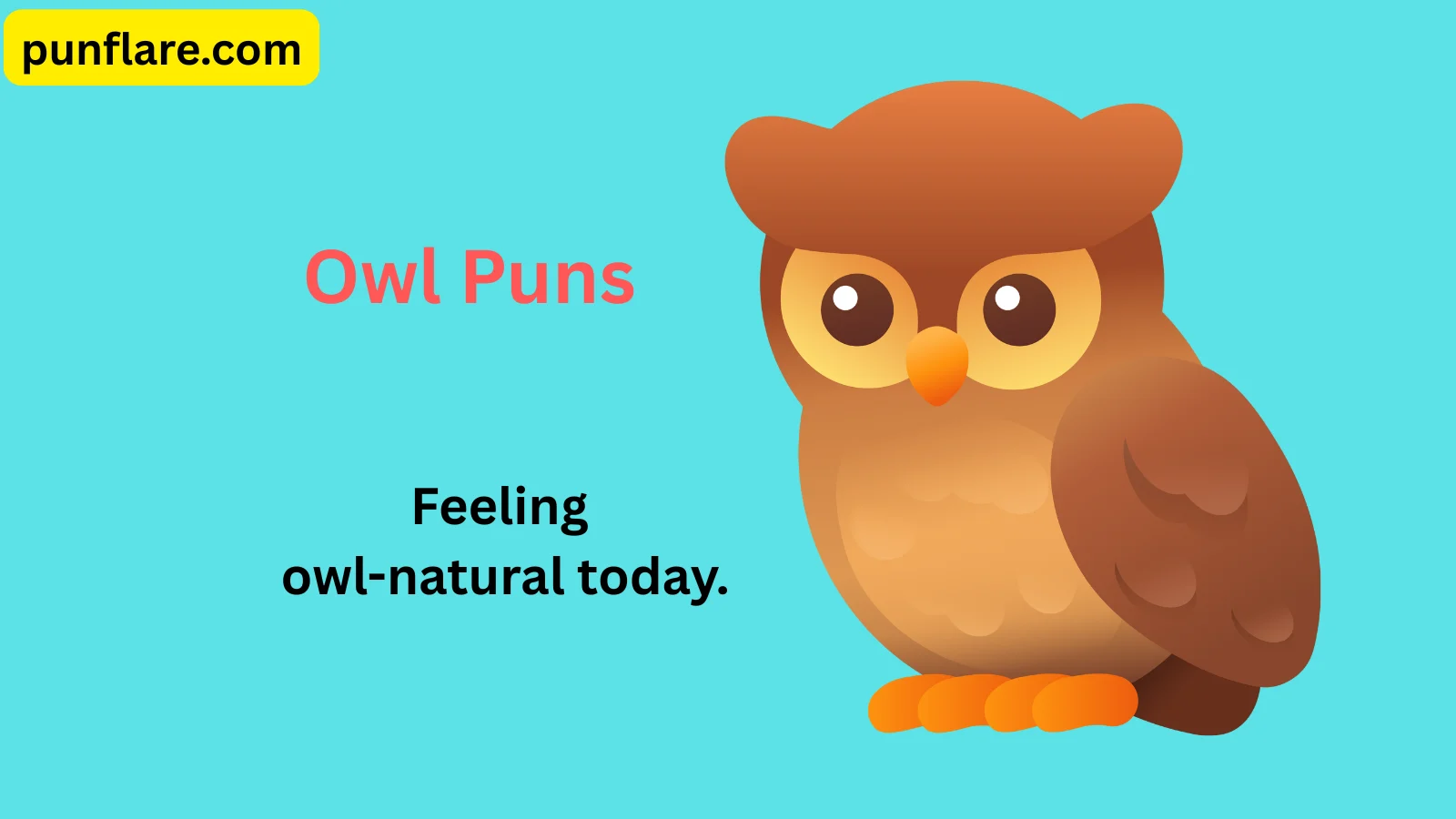 Owl Puns