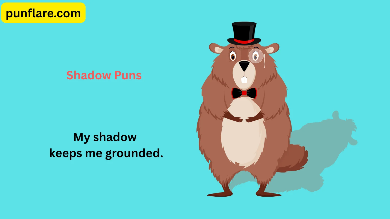 Shadow Puns