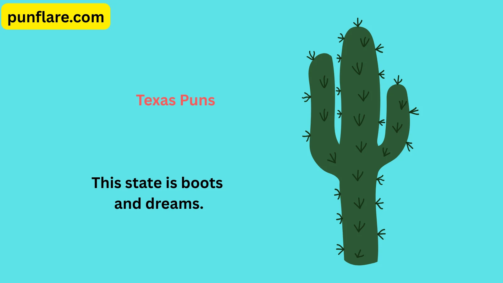 Texas Puns